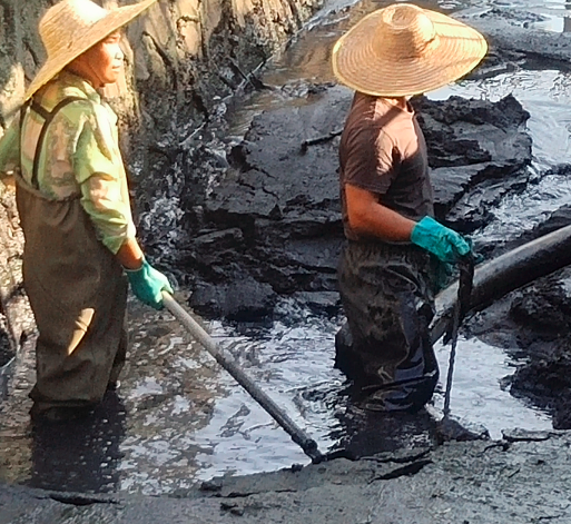 佛山河涌淤泥清理 鱼池河道淤泥抽取管道清淤工程